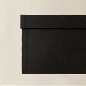 Acne Studios | Accessories | Acne Studio Medium Size Designer Shoe Box ...